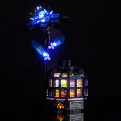 LocoLee display-ready setup lets fans showcase the Dahlia at night