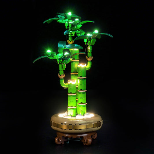 LocoLee Lucky Bamboo 10344 light kit glowing display for showcase