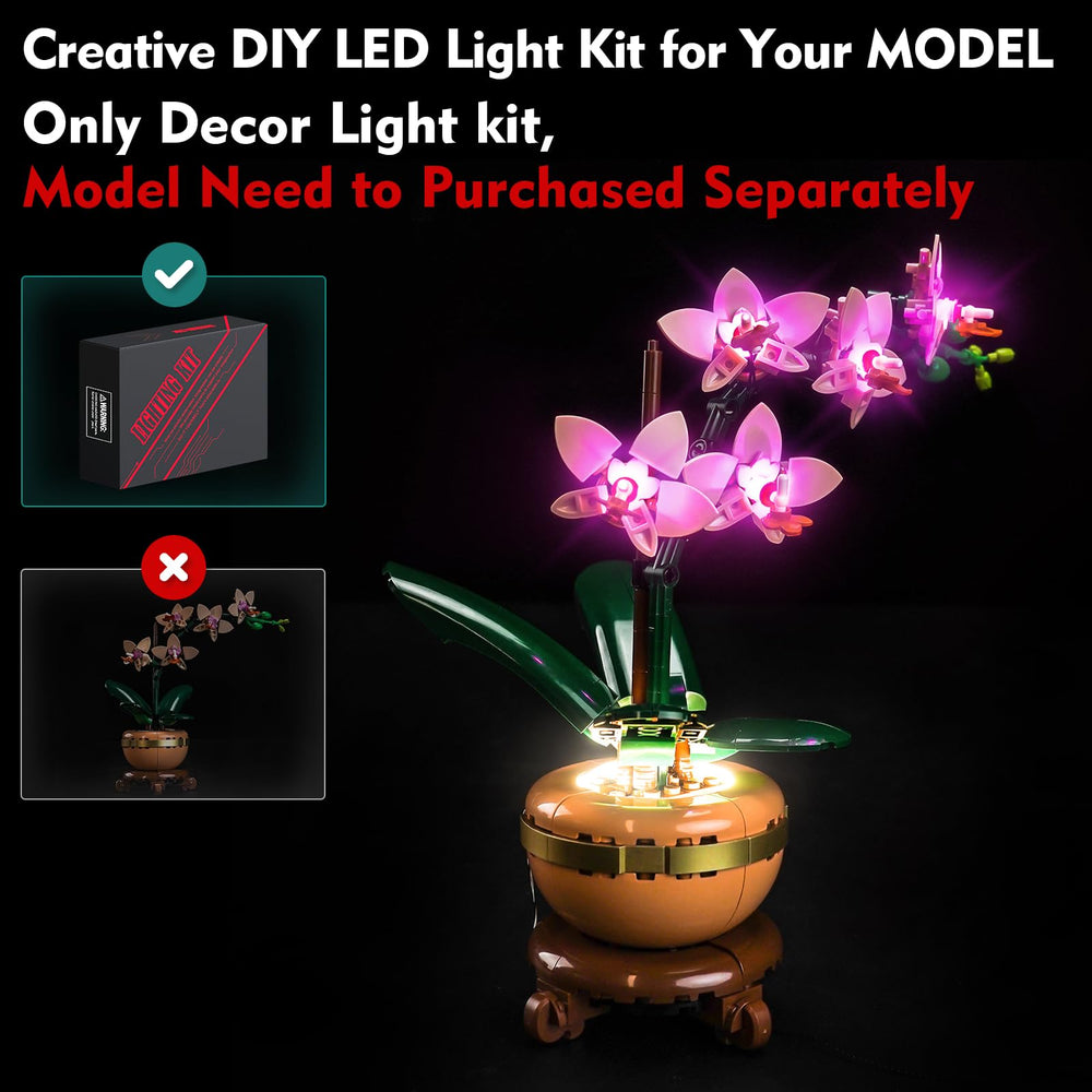 LocoLee USB powered lighting setup for bright, stable illumination.