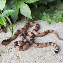Lohoee snake Halloween decoration prop adds spooky atmosphere to parties.