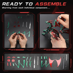 LONGPIN dragon gift packaging, premium presentation for enthusiasts.
