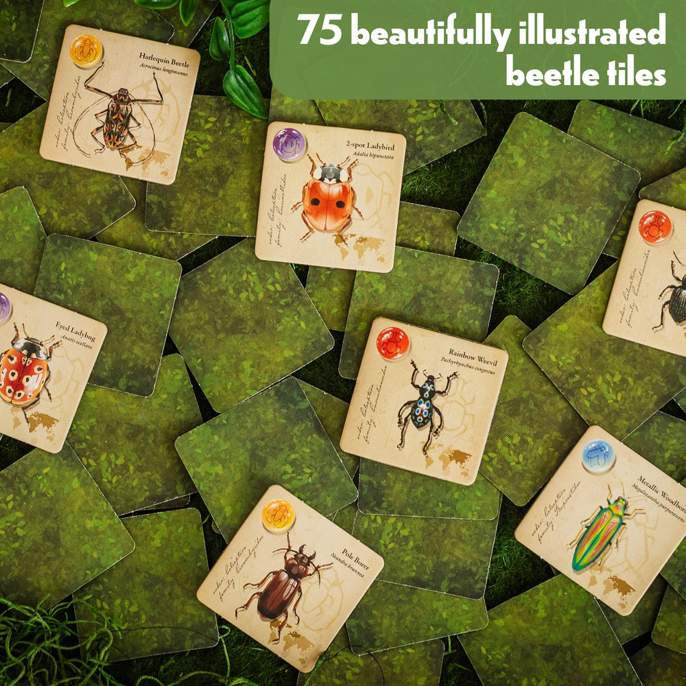 Jewel Box board layout illustrating simple placement for strategic play