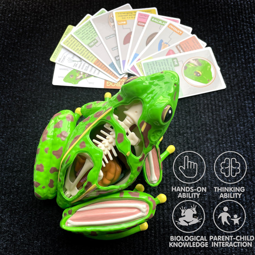 LUCKY GUESS puzzle-design assembly supports problem-solving and motor skills