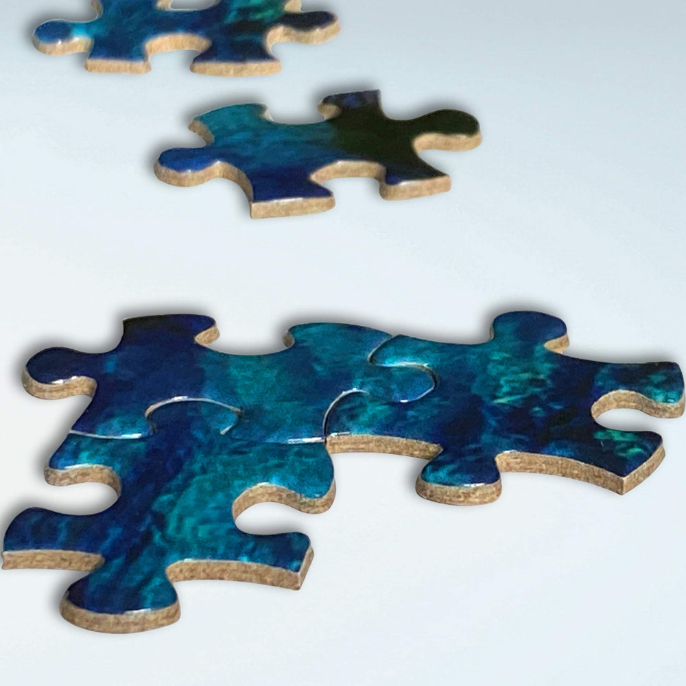 Lyf jigsaw puzzle Dubrovnik Croatia poster included assists quick setup.