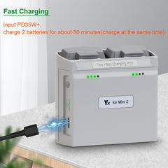 LYONGTECH storage charge mode keeps Mini batteries at 60% for long-term storage.