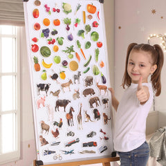 MAGDUM 110 fridge magnets transport showcasing vehicles for vocabulary growth