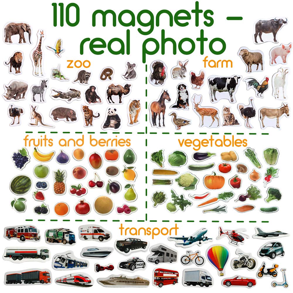 MAGDUM 110 fridge magnets vegetables for sensory exploration on magnetic boards