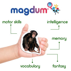 MAGDUM 110 fridge magnets gift tin box ready for gifting and exploration