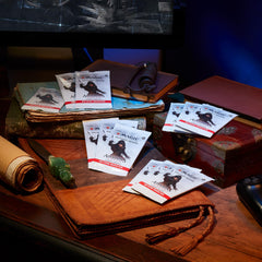 Magic: The Gathering Assassin's Creed Beyond Booster Box artwork cards and rare finds
