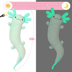 MaoGoLan giant axolotl decor pillow brightens bedrooms and play areas.