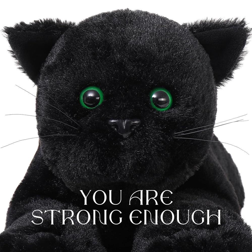 MaoGoLan black cat plush in living room decor adds whimsy.