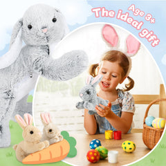 MaoGoLan Easter bunny used as classroom storytelling prop