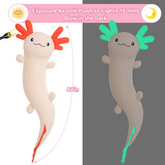 MaoGoLan glow-in-the-dark axolotl plush charges in light and glows at night