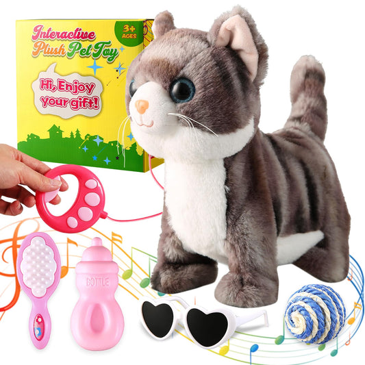 Marsjoy gray leash walking cat demonstrates interactive walking for kids.