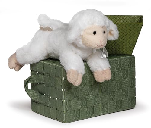Mary Meyer Melody Lamb 12 inches tall offers handheld comfort and soft fabric close-up.
