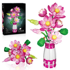 Mavo brix lotus bud stage for elegant indoor display