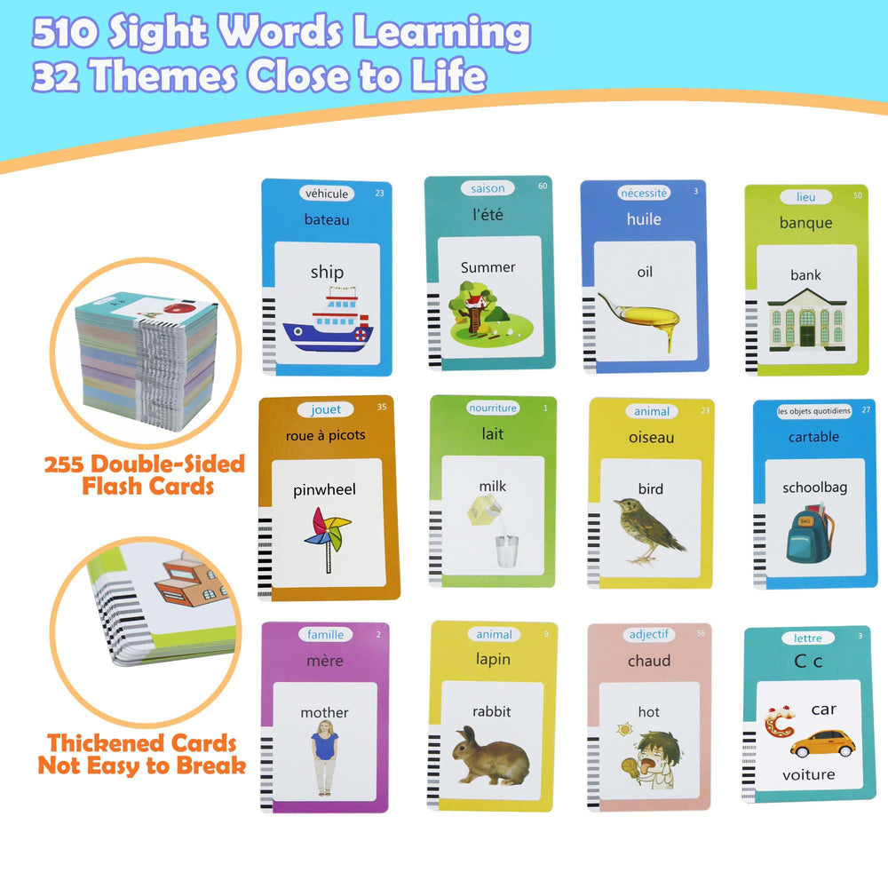 Mayaphilos 510 sight words theme cards illustrate diverse topics for language expansion