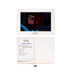 McFarlane Nightwing 6in birdarang accessory enhances action pose options.