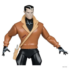 McFarlane Toys Red Hood 6in figure includes batarang and extra hands.