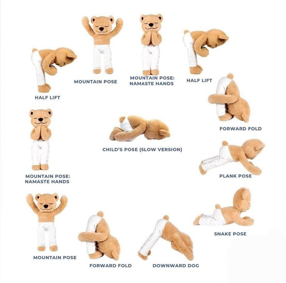 Meddy Teddy bendable limbs, adjustable pose aid for kid-friendly stretches.