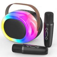 MEGUO karaoke machine for adults with compact design and 12W sound for parties.
