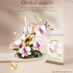 MEIEST insect-flower construction showing colorful bricks for creative display and hands-on building