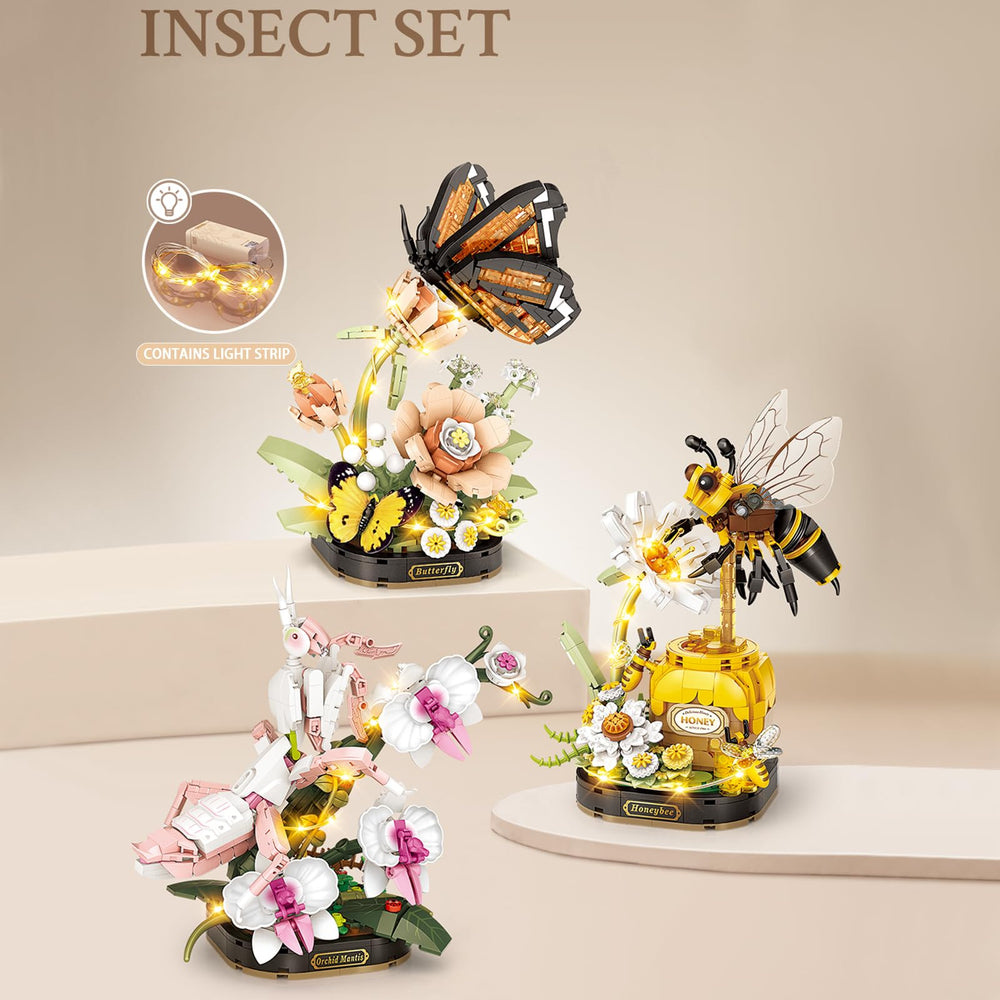 MEIEST science pop card detailing insect traits to spark curiosity during assembly