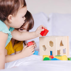 Preschool-ready Melissa & Doug cube for early sorting and critical thinking.