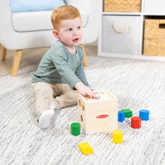 Shapes and colors being sorted in a Melissa & Doug learning activity.