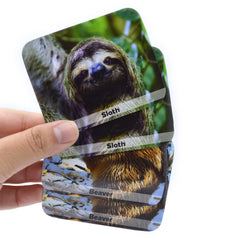 Menique eco-friendly materials with sustainable paper and veggie inks.