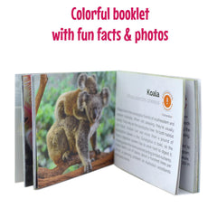 Menique educational booklet with animal facts to enrich playtime learning.