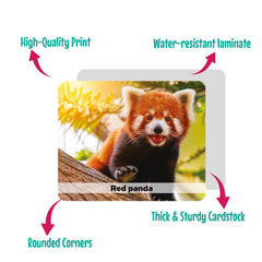 Menique compact, travel-ready memory game for on-the-go learning.