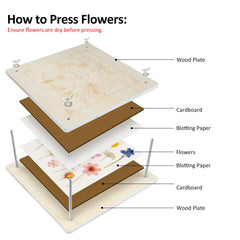 MeRGBWLife 7-needle tool for precise bloom alignment.