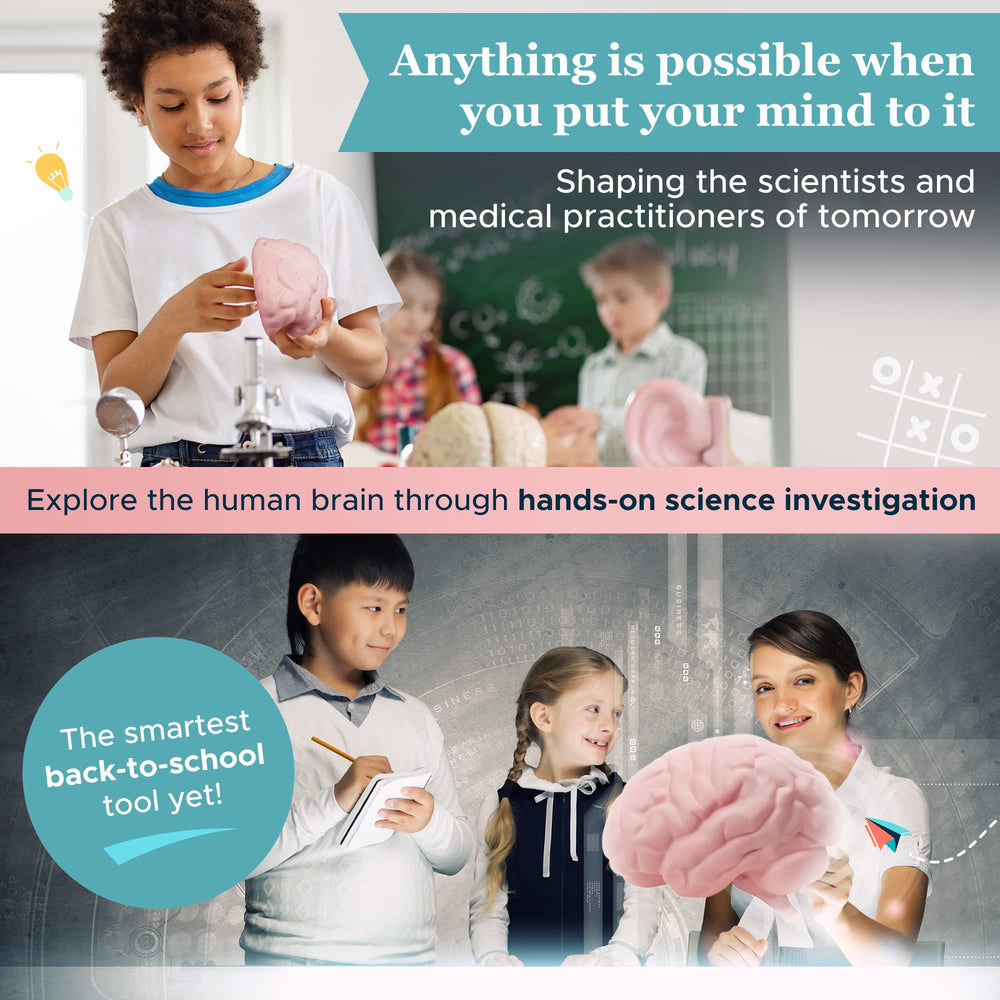 American-owned Merhoff & Larkin brand offers a reliable educational tool.