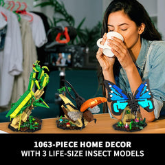 mesproud insect collection beetle display model for learning and home display.