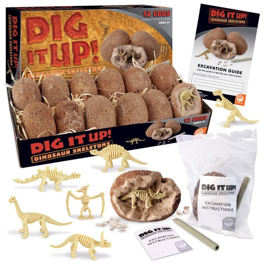 MindWare Dig It Up! twelve clay eggs ready for dinosaur excavation activity