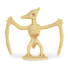 Diorama planning guide to organize discovered skeletons