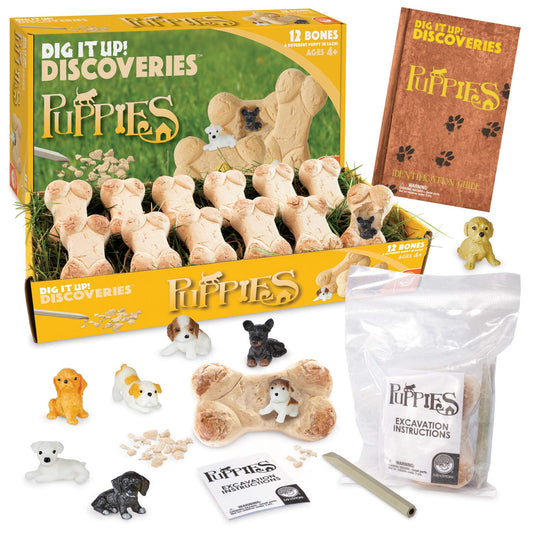 MindWare Dig It Up! bones reveal hidden puppies through hands-on digging.