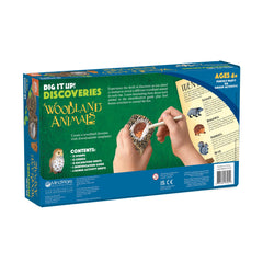MindWare Dig it Up woodland animal excavation kit invites hands-on exploration.