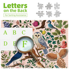 MINIWAN Blue jays puzzle segment showcasing vivid plumage and texture.