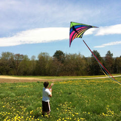 Mint's Colorful Life Delta Kite 3 ribbons close-up showing easy handling