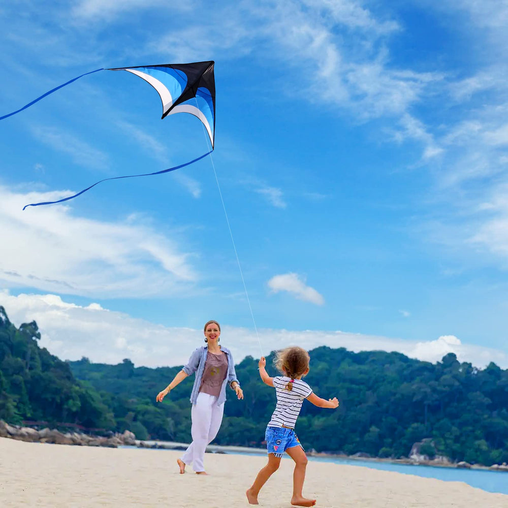 Mint's Colorful Life delta kite blue ideal for beach days and family outings