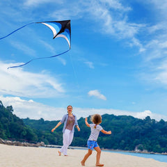 Mint's Colorful Life delta kite blue ideal for beach days and family outings