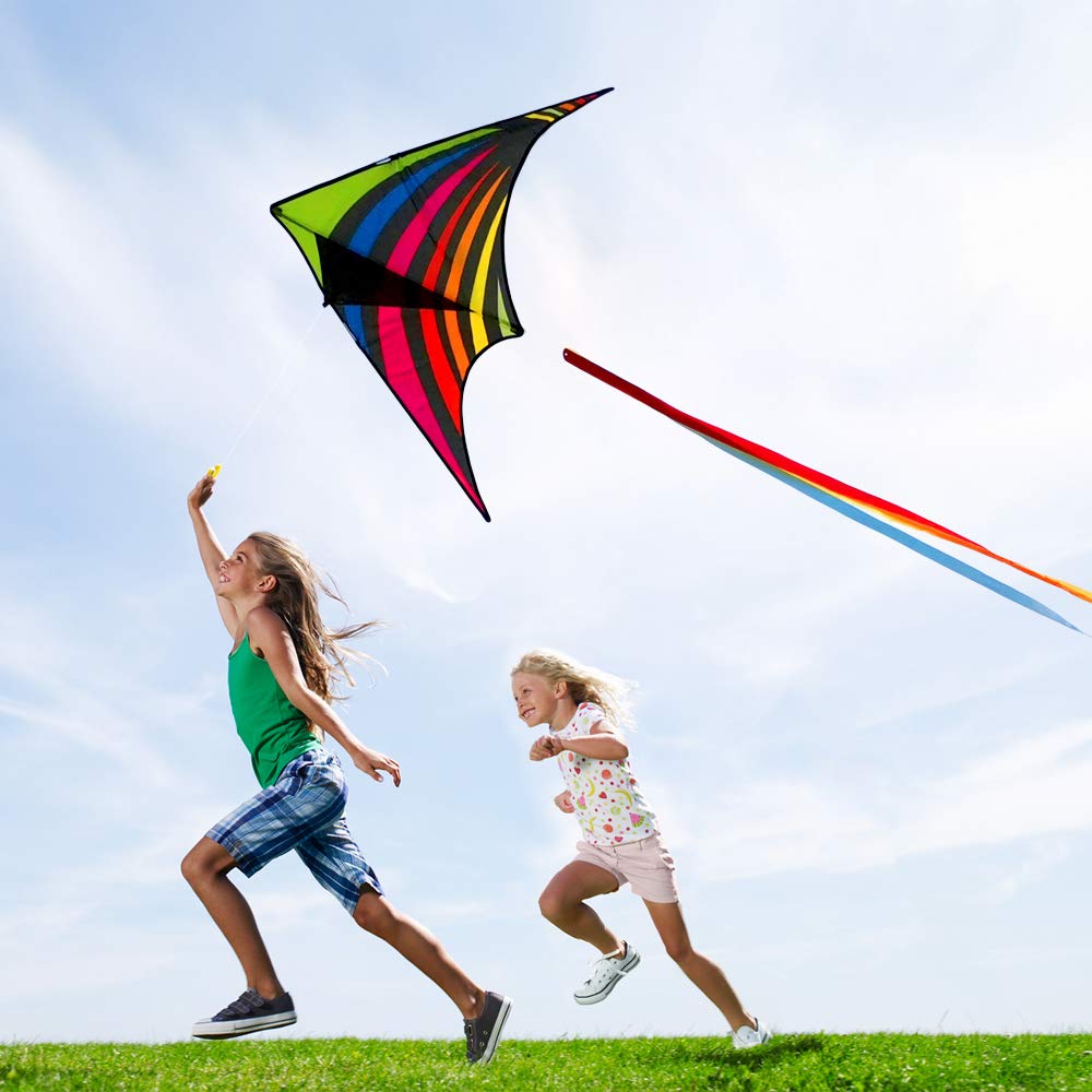 Mint's Colorful Life Delta Kite easy setup instructions for all ages