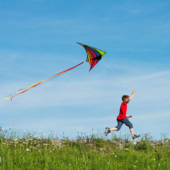 Mint's Colorful Life Delta Kite kid-friendly beach scene for outdoor play