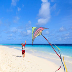 Mint's Colorful Life Delta Kite packaging box ready-to-go outdoor activity