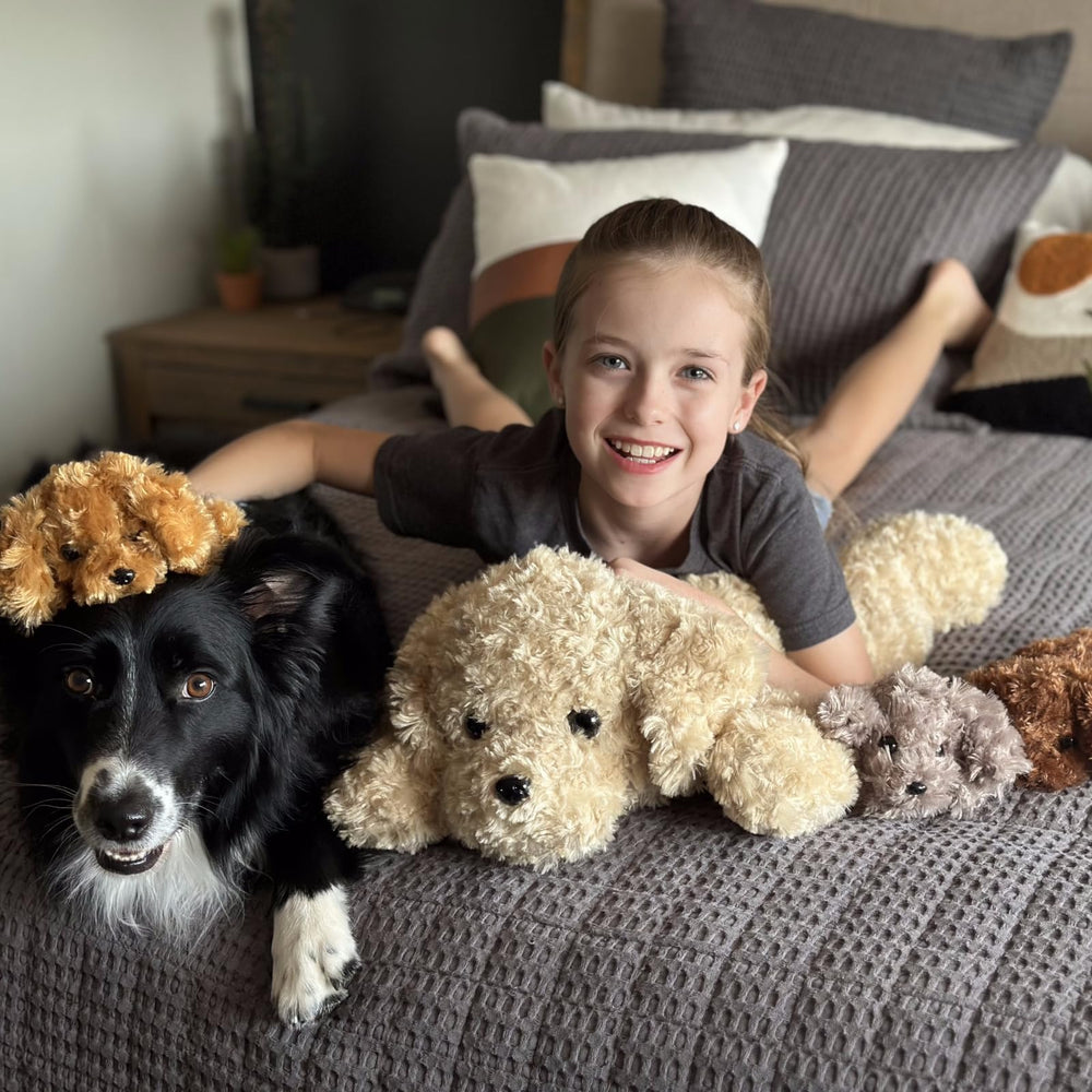 MorisMos Labrador plush set in five colors for color recognition and play.