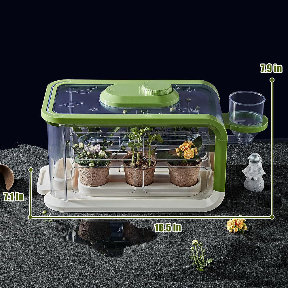Mostop Kids Plant Growing Kit planting pots arranged for seedlings