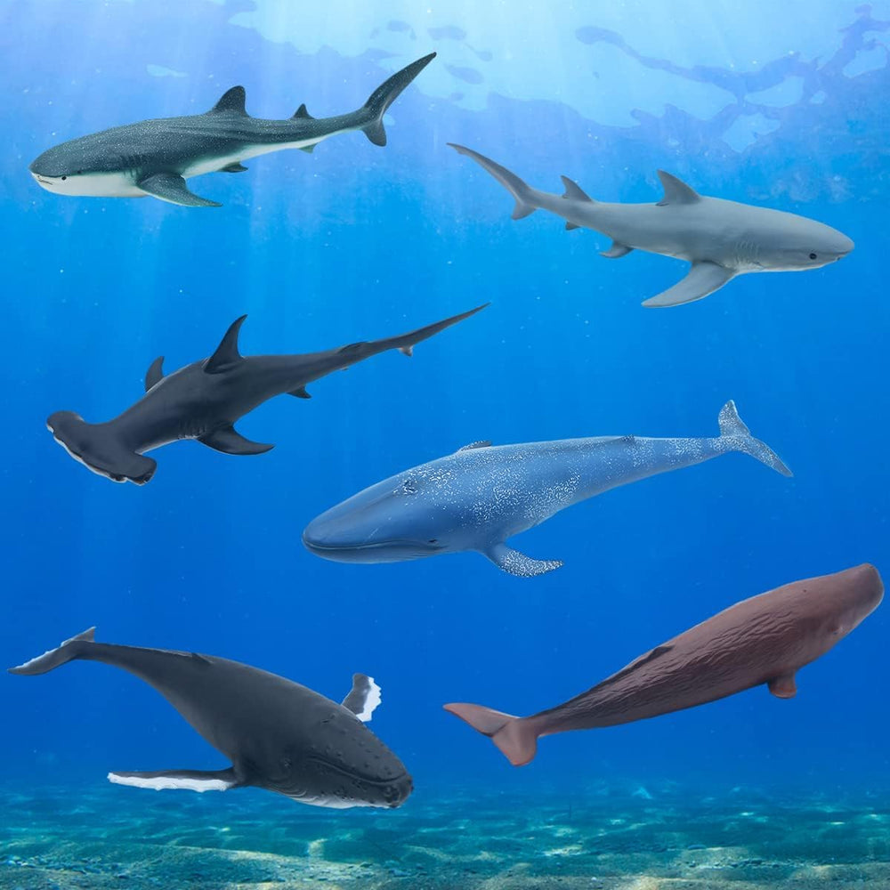 Mostop sperm whale figure invites discovery of deep-sea habitats.