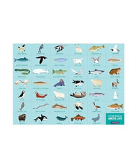 Mudpuppy Arctic Life Puzzle: walruses and seals highlight Arctic biodiversity for curious exploration.